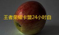 王者荣耀卡盟24小时自动发卡平台，让游戏更畅快