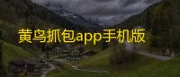 黄鸟抓包app手机版