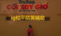 ig和平精英辅助